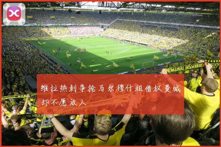 维拉热刺争抢马尔穆什租借权曼城却不愿放人